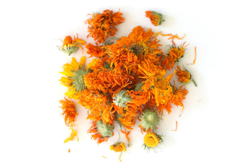 Calendula (Calendula officinalis): Skin Healing, Lymphatic Support, and Inflammation Modulation