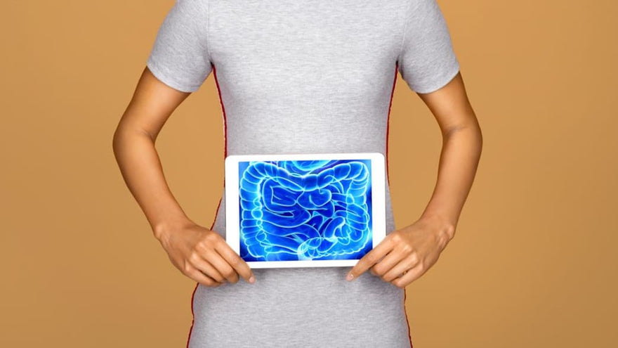 How Gut Health Is Linked To Your Mental Health