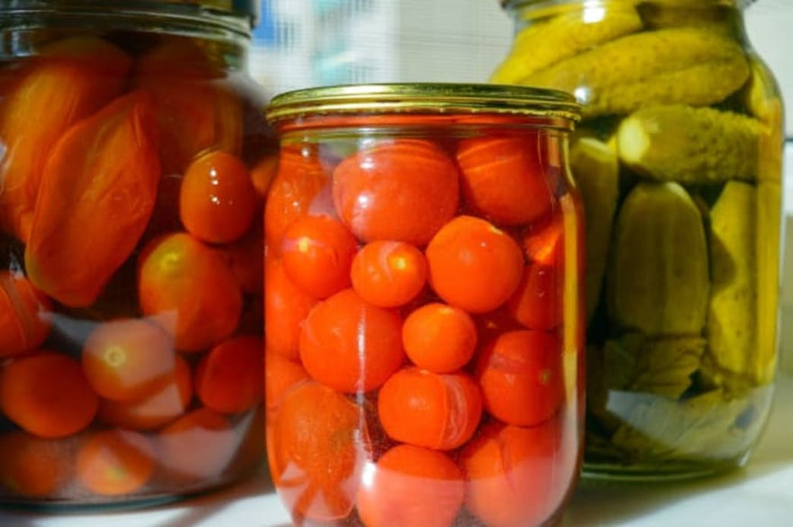 Fall into Growing Food in Your Home