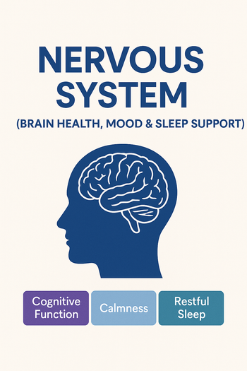 Nervous System (Brain Health, Mood & Sleep Support)
