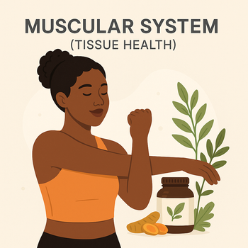 Muscles, Bones & Joints (Tissue Health)