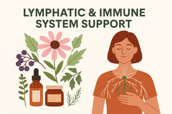 Lymphatic Immune System Support