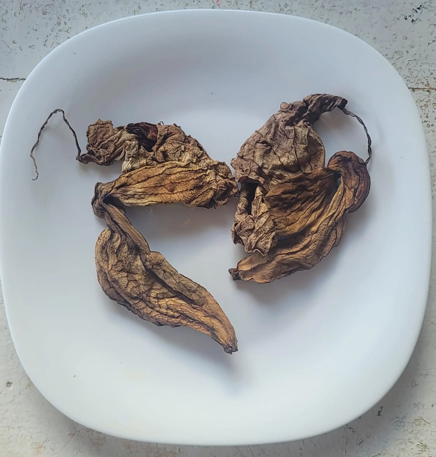 Raw Duck Flower Detox | Wildcrafted Aristolochia Grandiflora – Deep Cleanse & Parasite Flush