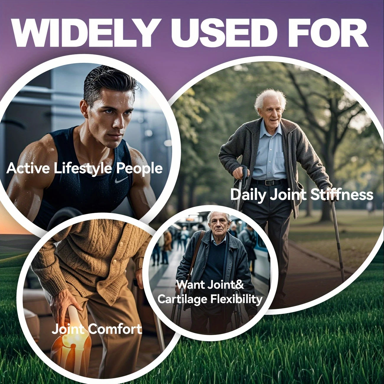 Joint & Mobility Support Capsules- Chondroitin, MSM, Boswellia & Turmeric Capsules