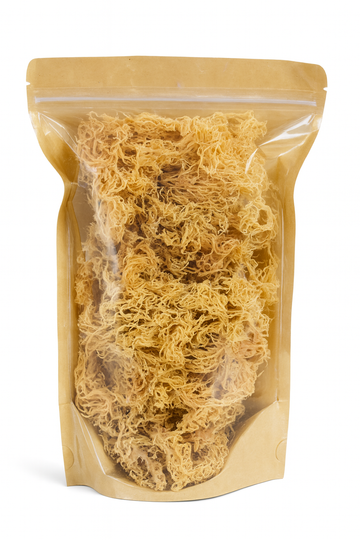 Gold Sea Moss - Wild Harvested St. Lucia
