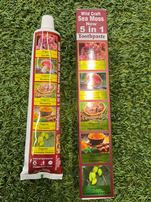 Wildcrafted Herbal Toothpaste – Sea Moss + Mushroom + Ayurvedic Botanicals (6.5 oz)