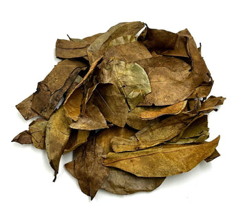 Dried Soursop Leaves (Graviola) – Herbal Tea - Life Gardening Tools LLC