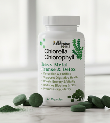 Bottle of Kibbea Chlorophyll supplement with scattered tablets on a light surface.