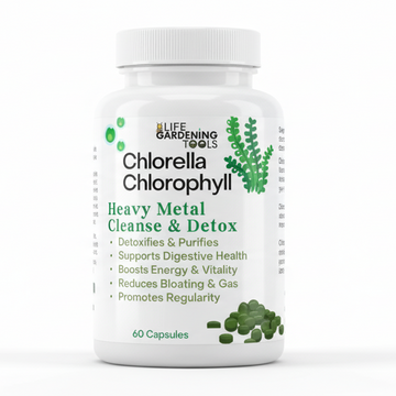 Bottle of Chlorella Chlorophyll supplement on a white background