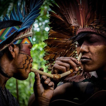 Hape Mucus Detox Session - 0