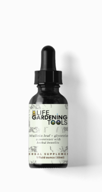 Mullein Vegetable Glycerin- Alcohol Free