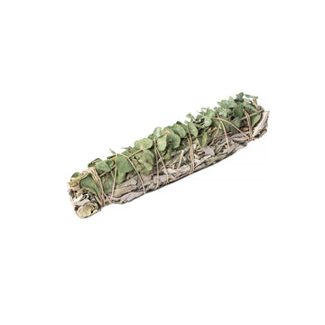 Eucalyptus Wrapped  8" Sage Bundle - 0