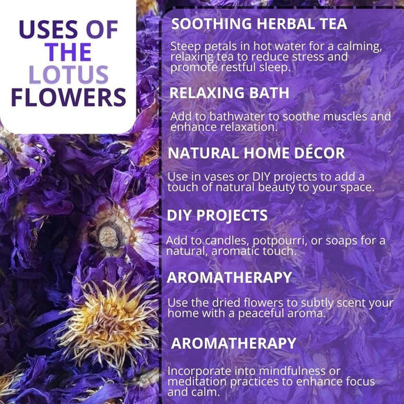 Blue Lotus Flower | Organic Nymphaea Caerulea – Relaxation, Lucid Dreaming & Spiritual Connection