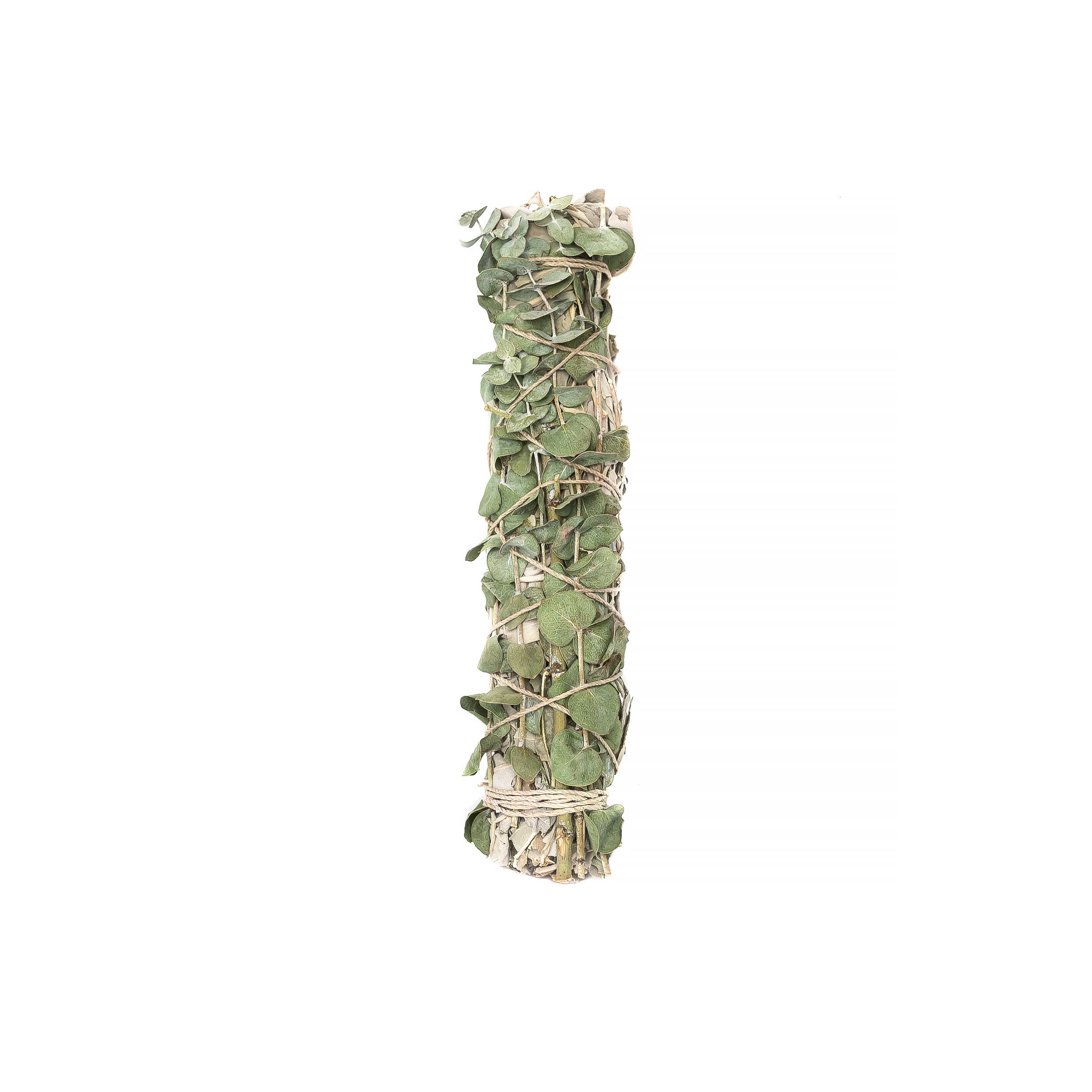 Eucalyptus Wrapped  8" Sage Bundle