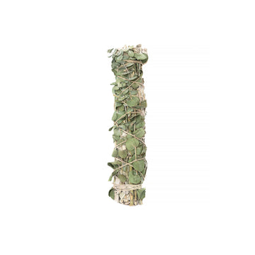 Eucalyptus Wrapped  8" Sage Bundle