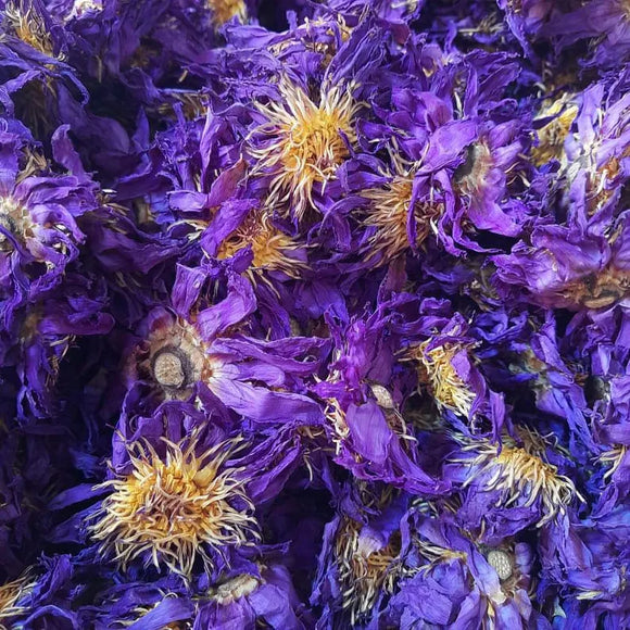 Blue Lotus Flower | Organic Nymphaea Caerulea – Relaxation, Lucid Dreaming & Spiritual Connection