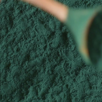Spirulina Powder - 3oz