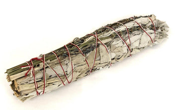 White sage with Lavender(4-9'') - Life Gardening Tools LLC