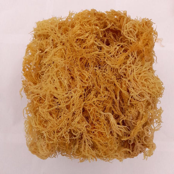 Wildcrafted St Lucian Gold Seamoss - Life Gardening Tools LLC