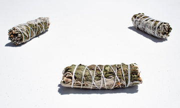 White Sage & Peppermint Mix (3-4") - Life Gardening Tools LLC
