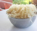 Gold Sea moss wildcrafted - Life Gardening Tools LLC