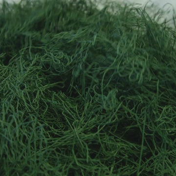 Spirulina Powder - 3oz - 0