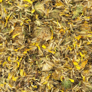 Arinca Dried Herb - Life Gardening Tools LLC