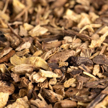 ECHINACEA ROOT Dried - Life Gardening Tools LLC