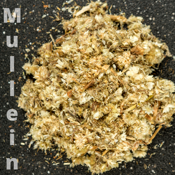 Mullein (Dried Leaves for Tea) - Life Gardening Tools LLC