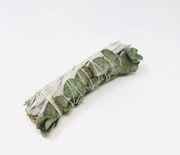 White Sage & Eucalyptus (4") - Life Gardening Tools LLC
