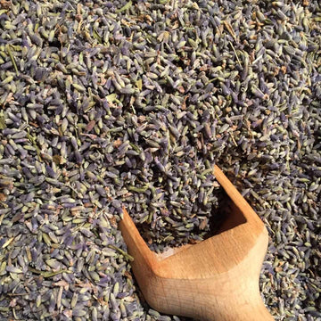LAVENDER - Life Gardening Tools LLC
