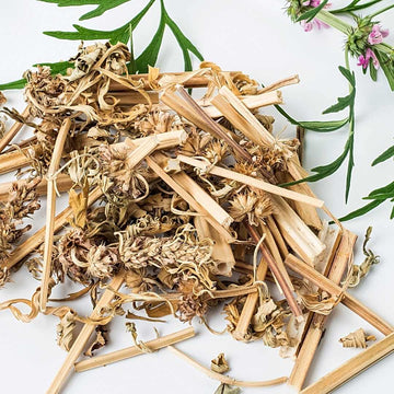 MOTHERWORT - Life Gardening Tools LLC