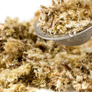 Mullein (Dried Leaves for Tea) - Life Gardening Tools LLC