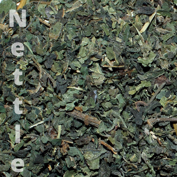 Dried Nettle Leaf / Urtica Diotica 6oz | Alkaline - Life Gardening Tools LLC