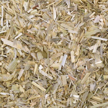 OATSTRAW Dried Herb - Life Gardening Tools LLC