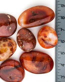 Carnelian Palm Stone |  Healing Crystals | Divination Crystals - Life Gardening Tools LLC