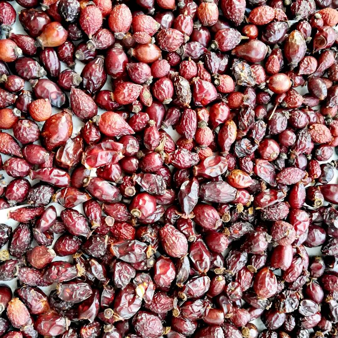 ROSE HIPS