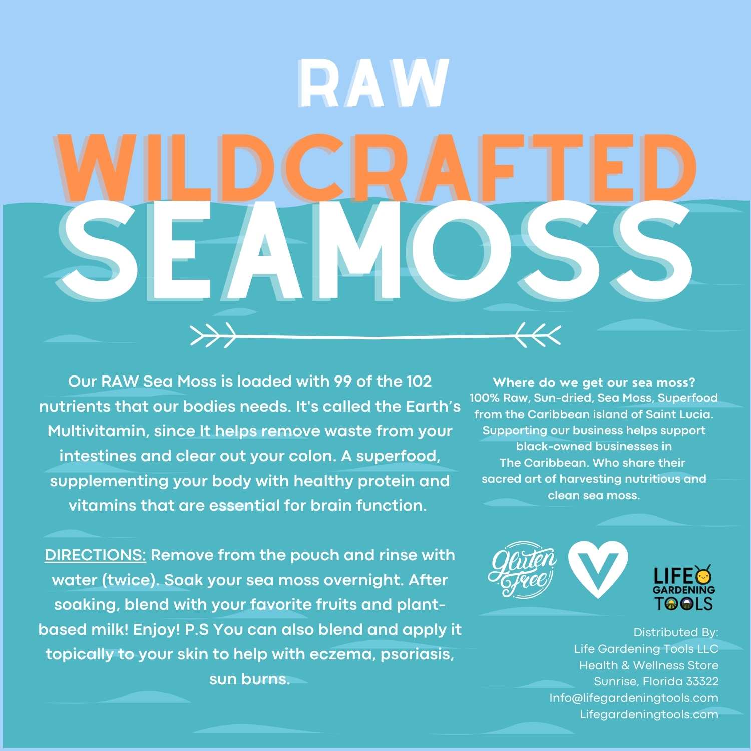 Purple Sea Moss  from St. Lucia - Life Gardening Tools LLC