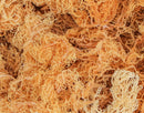 Gold Sea Moss, wild-harvested, sun-dried, natural golden color, close-up texture.