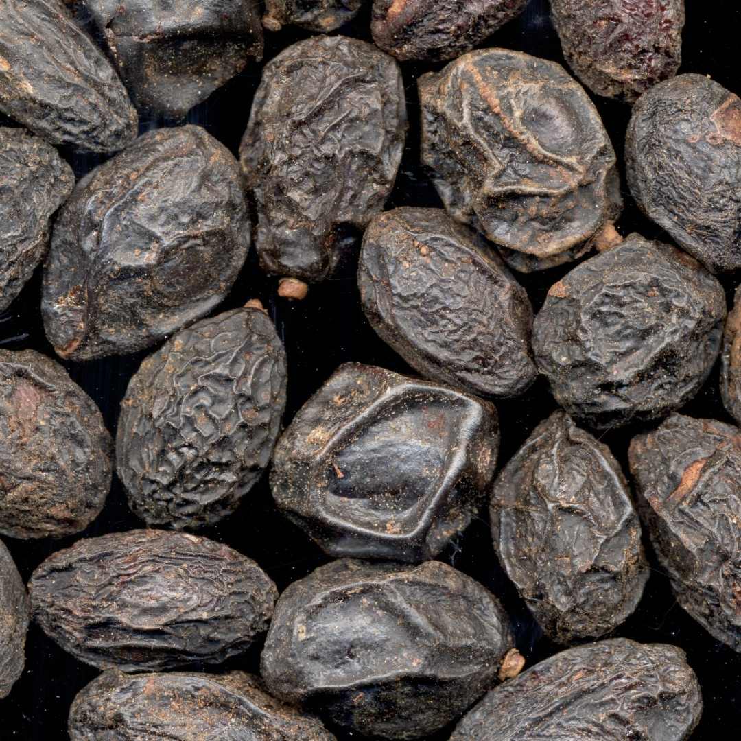 Saw Palmetto Whole