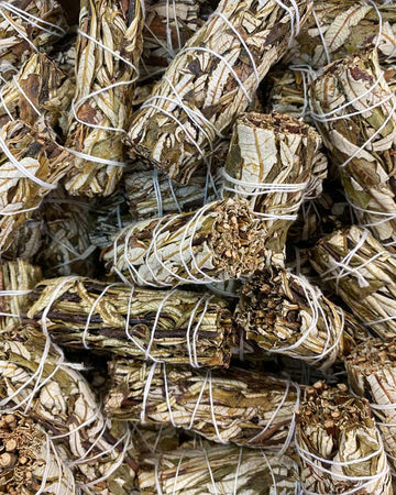 Yerba Santa Sage Smudge - 4 inch - Life Gardening Tools LLC