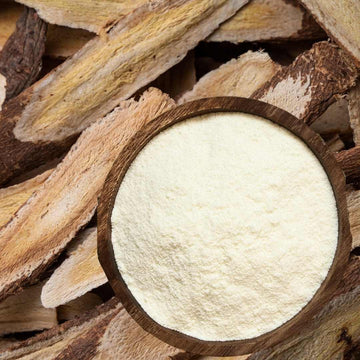 Astragalus Root - Life Gardening Tools LLC