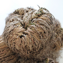 ROSE OF JERICHO | Resurrection plant | Prosperity & Abundance Magnet | Business's Blessing Plant - Life Gardening Tools LLC