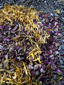 Lung Support Mucus Relief Tea Blend-1