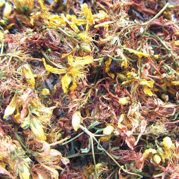 St. Johns Wort - Life Gardening Tools LLC