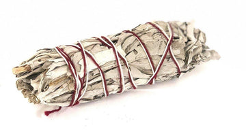 White sage with Lavender(4-9'') - Life Gardening Tools LLC